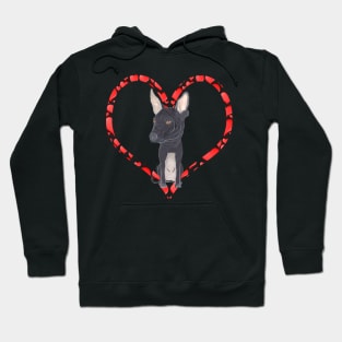 XOLOITZCUINTLE HEART Hoodie